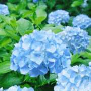 ヒメ日記 2026/06/13 11:53 投稿 体験アヤノ ミセスコレクション