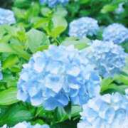 ヒメ日記 2026/06/15 14:03 投稿 体験アヤノ ミセスコレクション