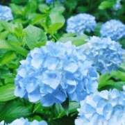 ヒメ日記 2026/07/04 15:23 投稿 体験アヤノ ミセスコレクション