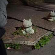 ヒメ日記 2026/06/09 20:46 投稿 なみ 新潟デリヘル倶楽部