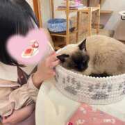ヒメ日記 2026/05/14 21:48 投稿 純恋もえ 四季～SIKI～