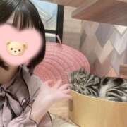 ヒメ日記 2026/05/15 14:18 投稿 純恋もえ 四季～SIKI～