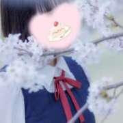 ヒメ日記 2026/05/15 16:03 投稿 純恋もえ 四季～SIKI～