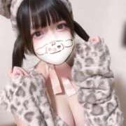ヒメ日記 2026/05/16 06:42 投稿 純恋もえ 四季～SIKI～