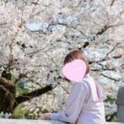 ヒメ日記 2026/05/17 15:03 投稿 純恋もえ 四季～SIKI～