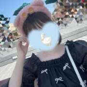 ヒメ日記 2026/05/17 23:33 投稿 純恋もえ 四季～SIKI～