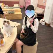 ヒメ日記 2026/05/18 20:09 投稿 純恋もえ 四季～SIKI～