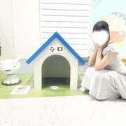 ヒメ日記 2026/05/23 20:18 投稿 純恋もえ 四季～SIKI～