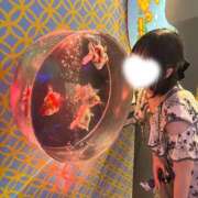 ヒメ日記 2026/06/24 20:03 投稿 純恋もえ 四季～SIKI～
