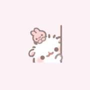 ヒメ日記 2026/07/15 10:50 投稿 みさき JAPAN CLUB BUNNY LOUNGE