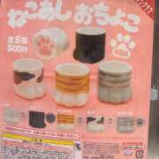 ヒメ日記 2026/07/21 18:03 投稿 かや 奥様メモリアル