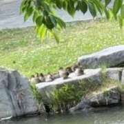 ヒメ日記 2026/06/21 21:27 投稿 南　りの 雫(しずく)