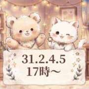 ヒメ日記 2026/09/01 20:19 投稿 南　りの 雫(しずく)