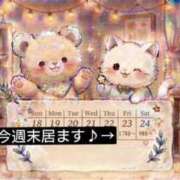 ヒメ日記 2026/10/21 23:32 投稿 南　りの 雫(しずく)