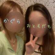 ヒメ日記 2026/06/12 09:22 投稿 かぐら 桃李（とうり）