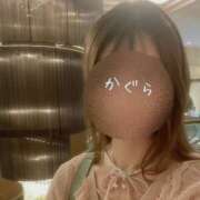 ヒメ日記 2026/08/26 10:12 投稿 かぐら 桃李（とうり）