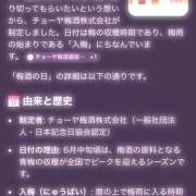 ヒメ日記 2026/06/11 06:39 投稿 ひかる VIOLET(ヴァイオレット)