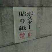 ヒメ日記 2024/04/03 11:03 投稿 ほのか 妻天 日本橋店