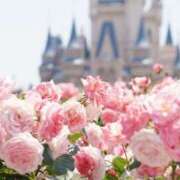 ヒメ日記 2025/02/04 12:12 投稿 ほのか 妻天 日本橋店