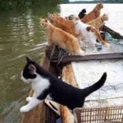 ヒメ日記 2025/02/24 10:56 投稿 ほのか 妻天 日本橋店