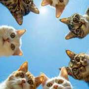 ヒメ日記 2025/03/08 12:55 投稿 ほのか 妻天 日本橋店