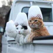 ヒメ日記 2025/03/20 12:41 投稿 ほのか 妻天 日本橋店