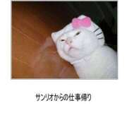 ヒメ日記 2025/03/27 10:56 投稿 ほのか 妻天 日本橋店