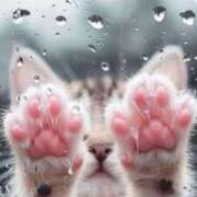 ヒメ日記 2025/03/29 12:56 投稿 ほのか 妻天 日本橋店