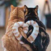 ヒメ日記 2025/04/05 10:52 投稿 ほのか 妻天 日本橋店