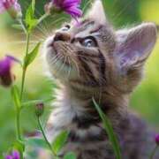 ヒメ日記 2025/04/09 10:52 投稿 ほのか 妻天 日本橋店