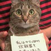 ヒメ日記 2025/04/10 13:22 投稿 ほのか 妻天 日本橋店