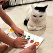 ヒメ日記 2025/04/13 11:09 投稿 ほのか 妻天 日本橋店