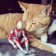 ヒメ日記 2025/04/15 10:53 投稿 ほのか 妻天 日本橋店