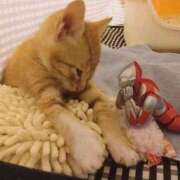 ヒメ日記 2025/04/16 10:53 投稿 ほのか 妻天 日本橋店