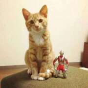 ヒメ日記 2025/04/17 10:50 投稿 ほのか 妻天 日本橋店