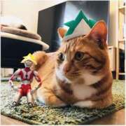 ヒメ日記 2025/04/19 10:59 投稿 ほのか 妻天 日本橋店