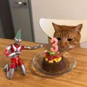 ヒメ日記 2025/04/20 10:53 投稿 ほのか 妻天 日本橋店