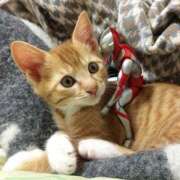 ヒメ日記 2025/04/23 10:47 投稿 ほのか 妻天 日本橋店