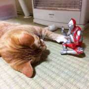 ヒメ日記 2025/04/30 10:57 投稿 ほのか 妻天 日本橋店