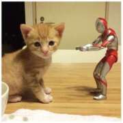 ヒメ日記 2025/05/01 11:00 投稿 ほのか 妻天 日本橋店