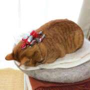 ヒメ日記 2025/05/06 10:49 投稿 ほのか 妻天 日本橋店