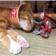 ヒメ日記 2025/05/07 10:54 投稿 ほのか 妻天 日本橋店