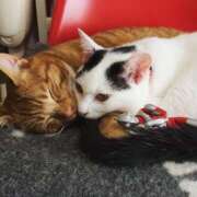 ヒメ日記 2025/05/10 10:55 投稿 ほのか 妻天 日本橋店