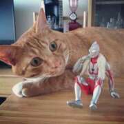 ヒメ日記 2025/05/11 10:57 投稿 ほのか 妻天 日本橋店