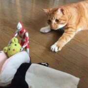 ヒメ日記 2025/05/13 12:18 投稿 ほのか 妻天 日本橋店