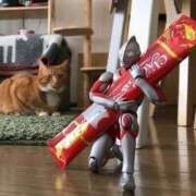 ヒメ日記 2025/05/14 11:01 投稿 ほのか 妻天 日本橋店