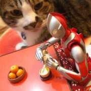 ヒメ日記 2025/05/15 10:56 投稿 ほのか 妻天 日本橋店