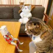 ヒメ日記 2025/05/17 10:53 投稿 ほのか 妻天 日本橋店