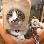 ヒメ日記 2025/05/18 11:03 投稿 ほのか 妻天 日本橋店