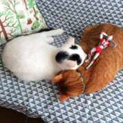 ヒメ日記 2025/05/21 10:54 投稿 ほのか 妻天 日本橋店